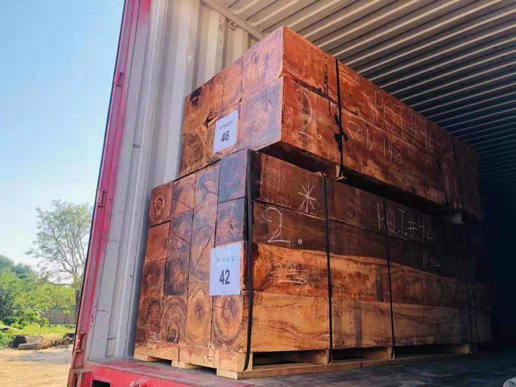 黄埔乌冲码头一般贸易进口沙比利原木清关公司-非洲木材进口清关