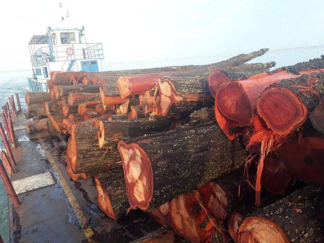 广州海运进口柚木板材清关公司-木材进口报关行
