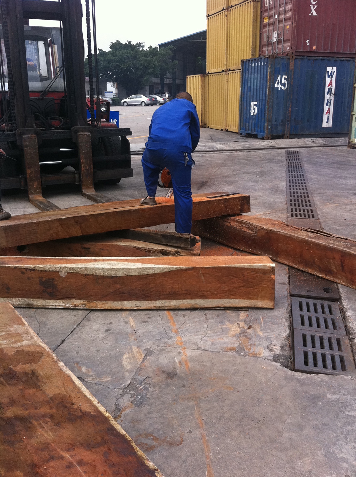南沙港一般贸易进口非洲木材清关公司-木材进口报关行