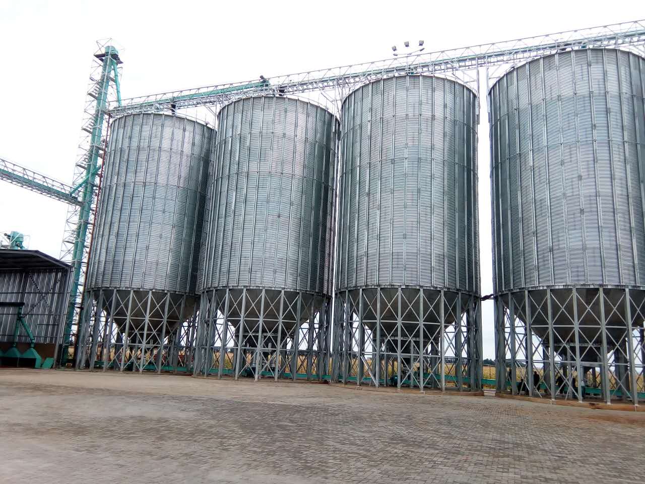 大米加工厂用800吨稻谷仓