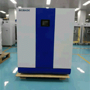 电热恒温培养箱BJPX-H88