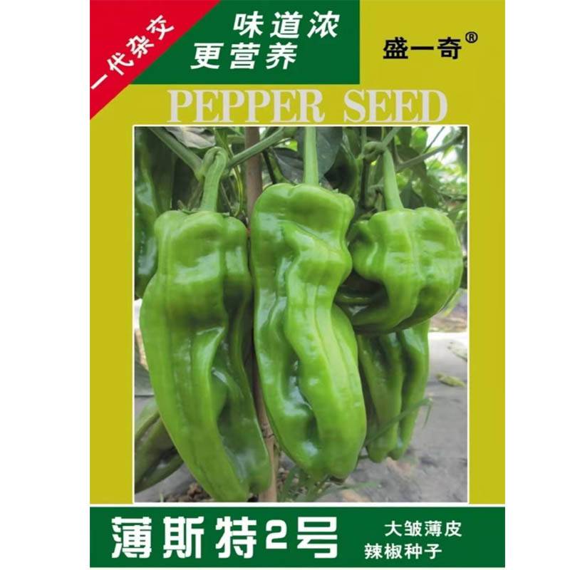 大泡椒种子 薄皮辣椒种子 菜种子 种子批发 蔬菜种子 种子公司