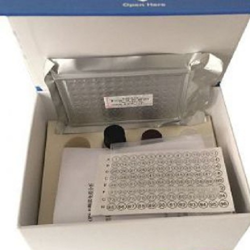豚鼠白介素3ELISA检测试剂盒