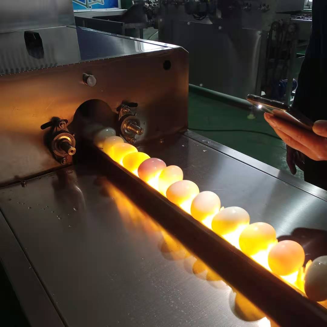 山东洗蛋机生产厂家 全自动鸡蛋清洗风干重量分级流水线定制