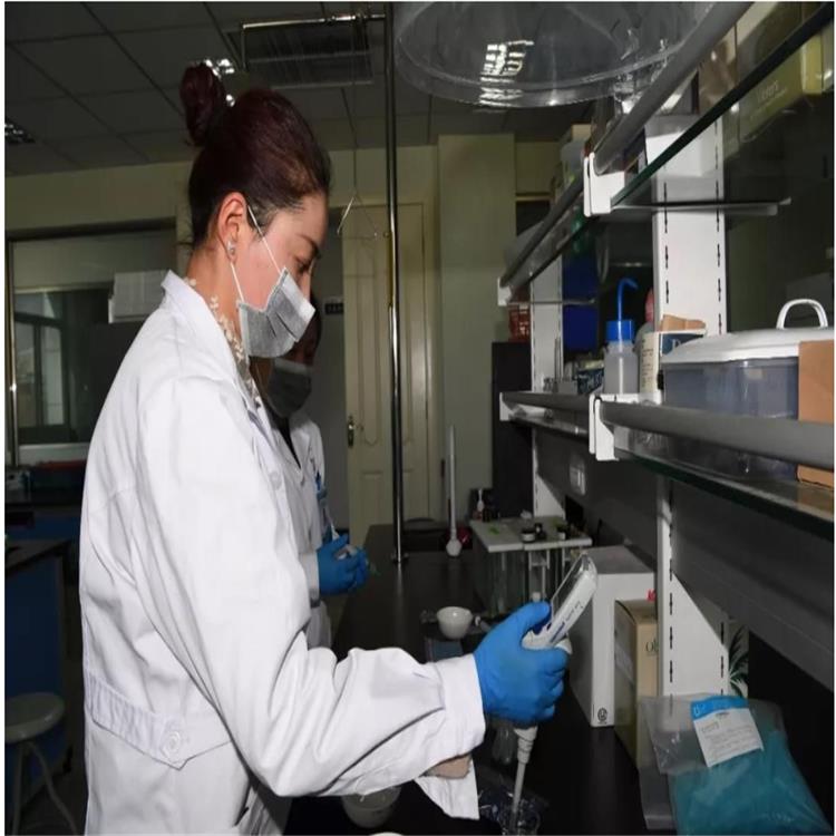 廣州生物大分子類藥物質量檢測與分析服務 **咨詢
