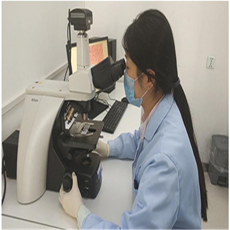 廣州人體細胞功能評價服務 所需材料