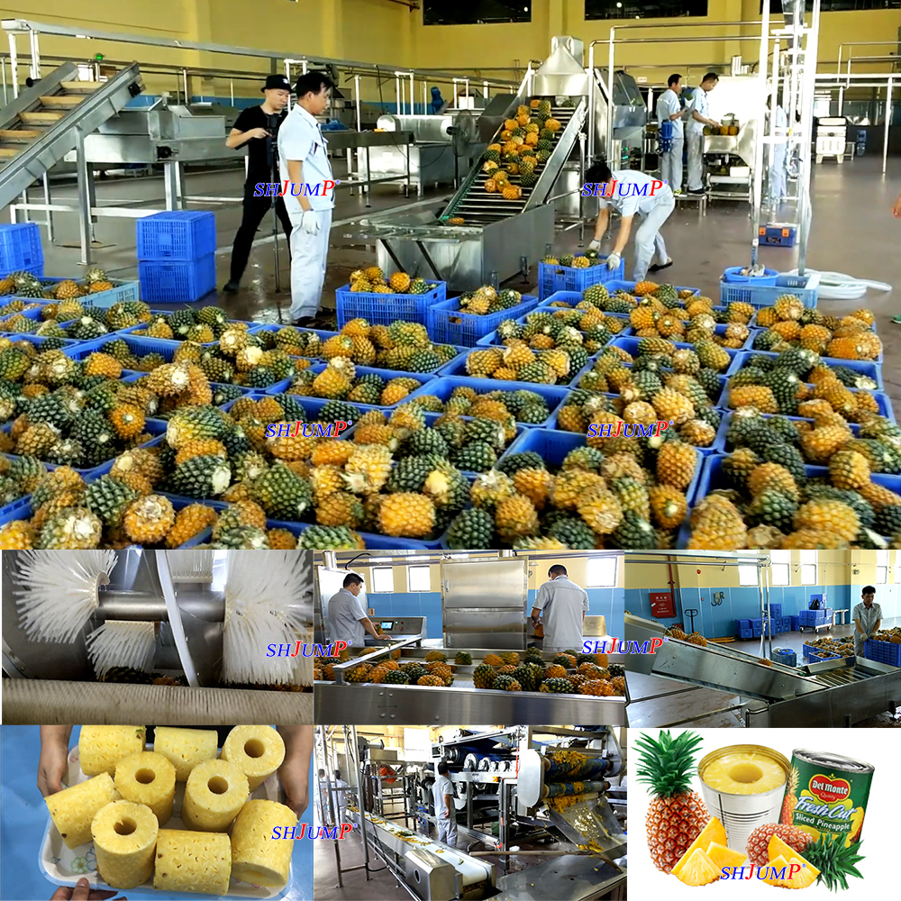 菠萝榨汁生产线/菠萝罐头加工产线/菠萝果酱加工设备