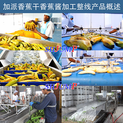 香蕉干加工生产线 香蕉酱加工设备 全套香蕉加工复合生产线