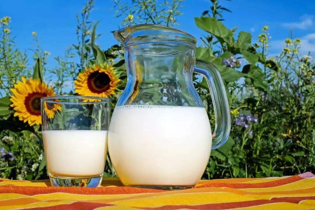 进口乳制品代理报关公司 牛奶进口报关 比利时一般贸易乳制品进口报关资料