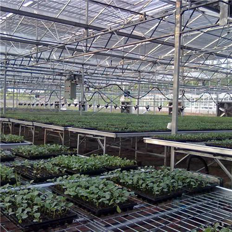 汉明大棚建设育苗使用热镀锌移动苗床种植薯苗