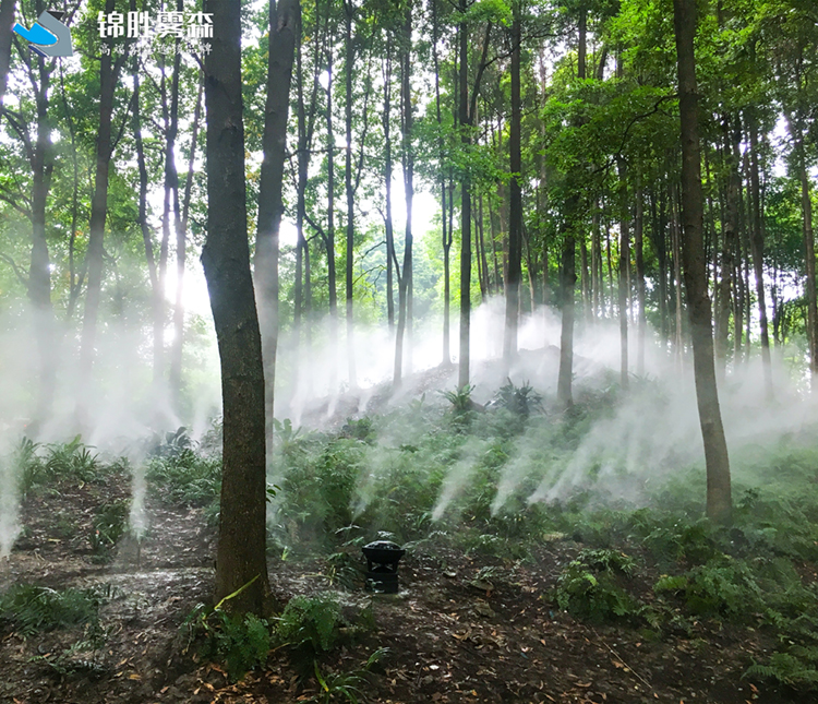 甘肃工厂喷雾加湿 自动喷雾加湿机 人造雾设备