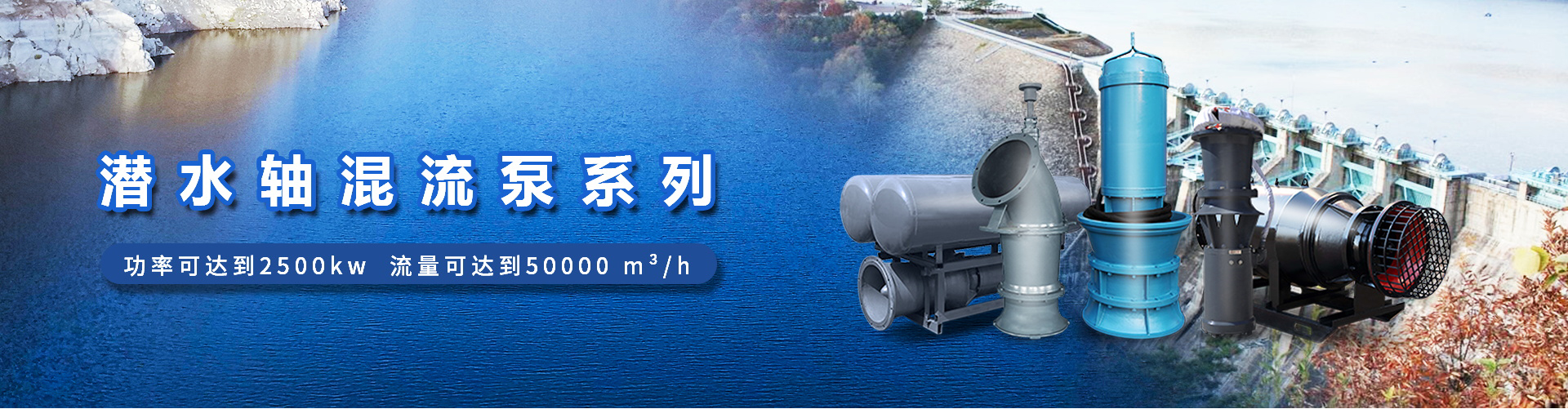 九江浮筒式潜水轴流泵