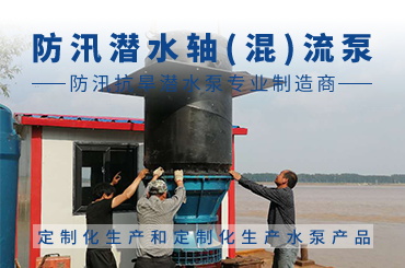 淮安中吸式潜水轴流泵