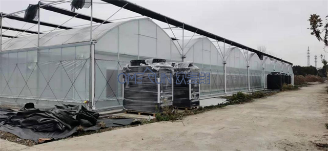 欧麦朗为南京溧水蓝莓黑莓温室大棚提供加温系统