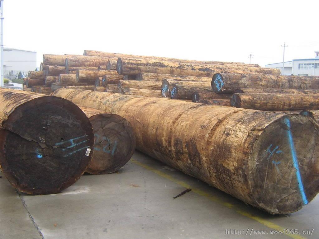 吉林市木材进口报关