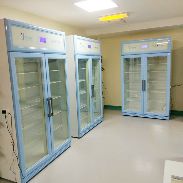 低温冷藏箱-20度至-30度-20度低温冰箱FYL-YS-128L100立升低温冰柜