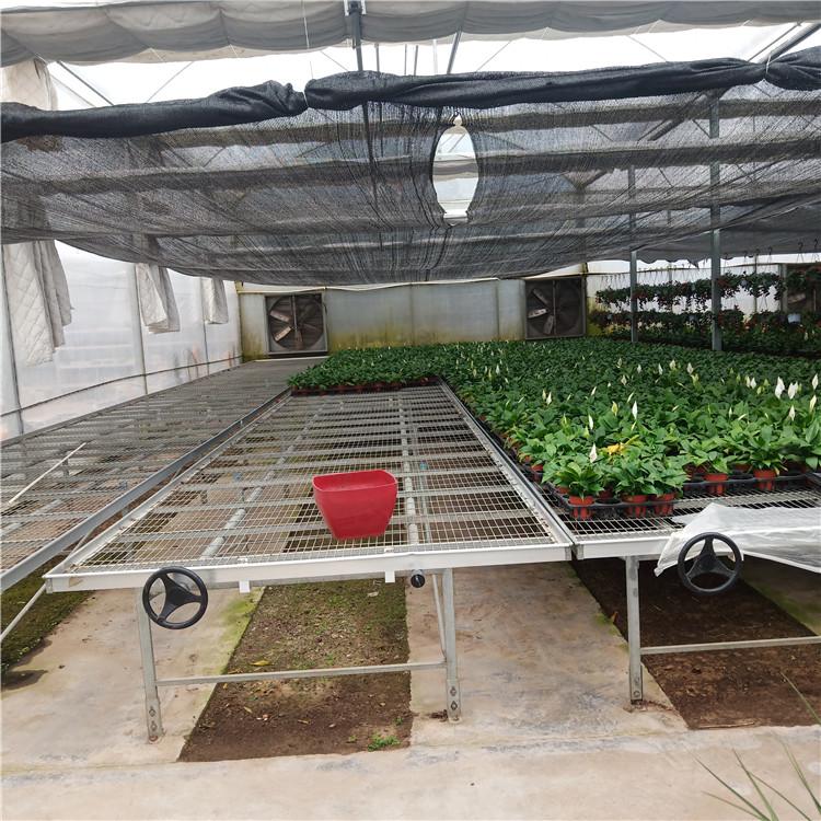 温室使用移动苗床-实现育苗花卉的产能