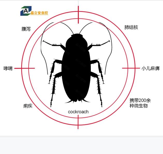 四川灭蟑螂公司 去除蟑螂的好方法 广元市元坝区除蟑螂