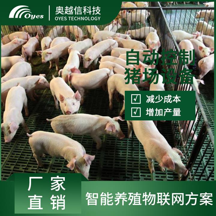 养猪智能 智能养猪设备 养猪有补贴