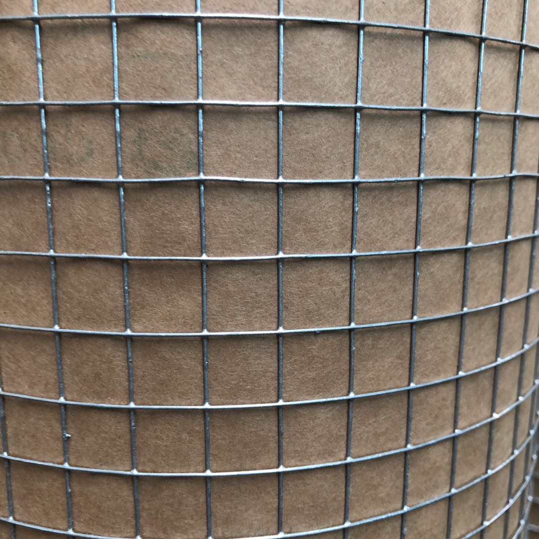 安徽低碳钢丝电焊网养殖电焊网大丝抹墙网焊接方眼网规格