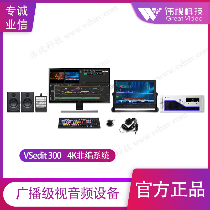 伟视科技VSedit系列全接口非编系统 VSedit300