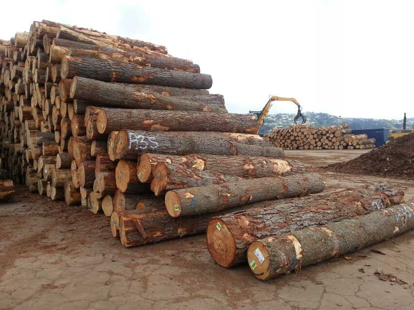上海实力的木材进口报关清关公司
