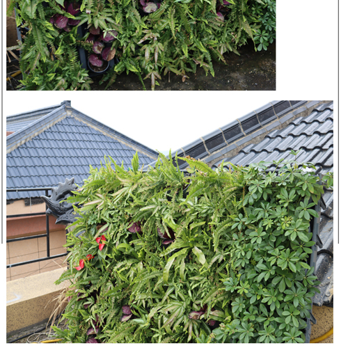 蜂巢植物墙厂家分享植物墙植物修剪养护的重要性