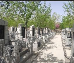 乌鲁木齐墓地咨询 九龙生态园 环境优美
