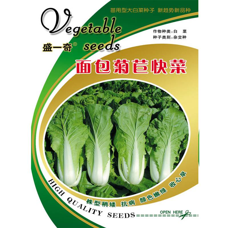 小白菜种子 盛-奇面包菊苣快菜种子 快菜 种子 菜种子 蔬菜种子