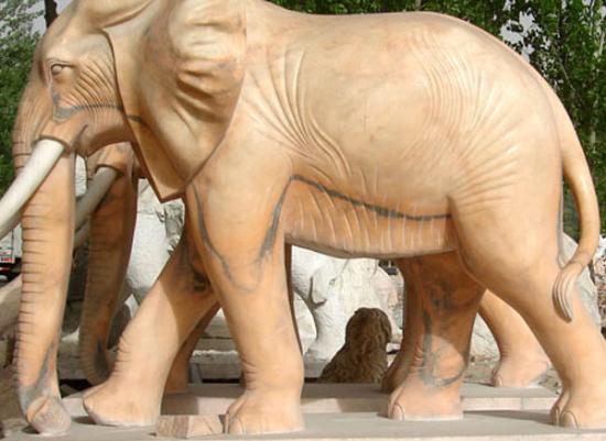 石雕大象雕塑 大象石雕塑 石雕大象雕塑制作厂家