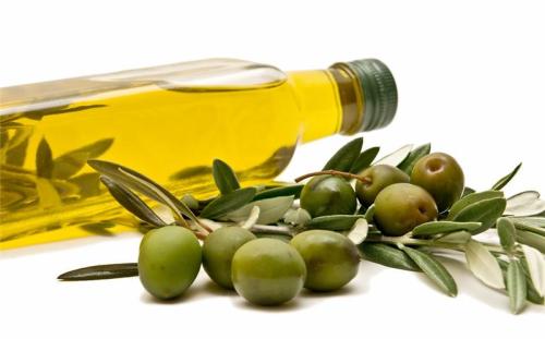 如何从菲律宾进口橄榄油