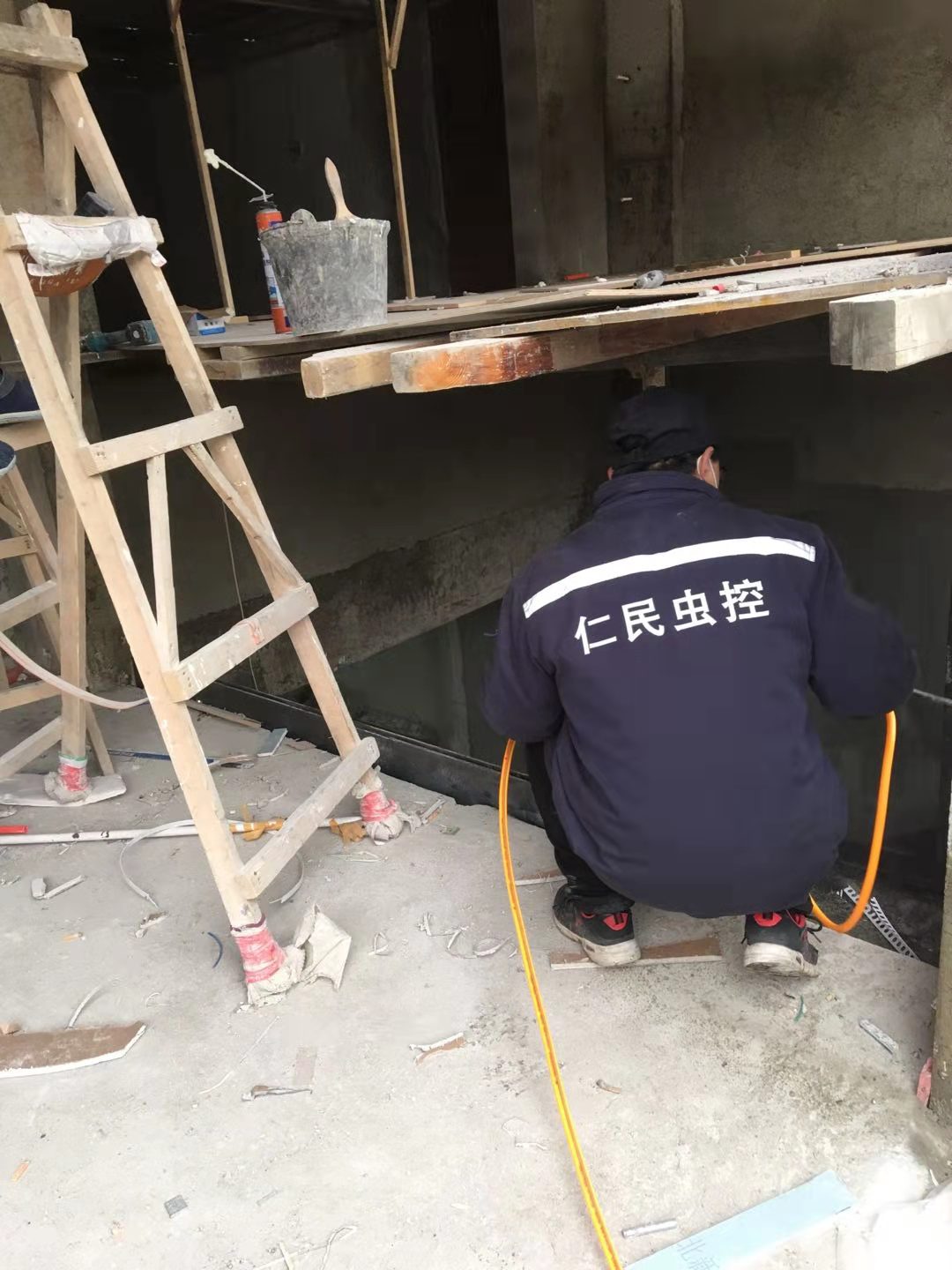 邛崃灭跳蚤服务 上门灭跳蚤 针对性方案