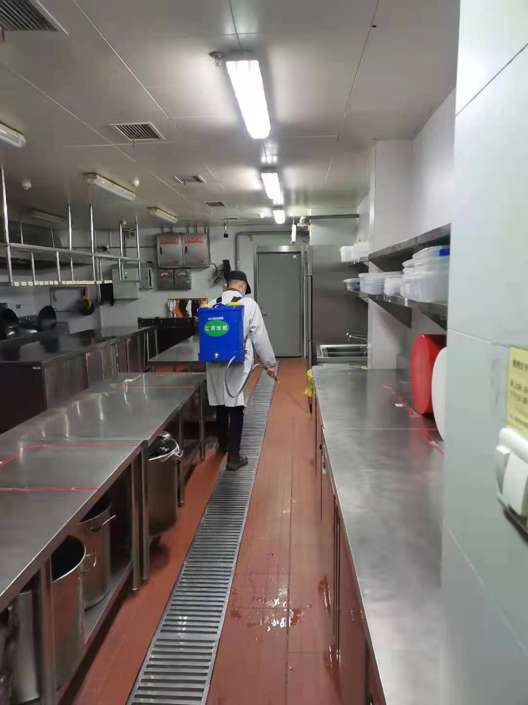 温江餐厅杀虫除虫工程 上门杀虫除虫 多年消杀经验