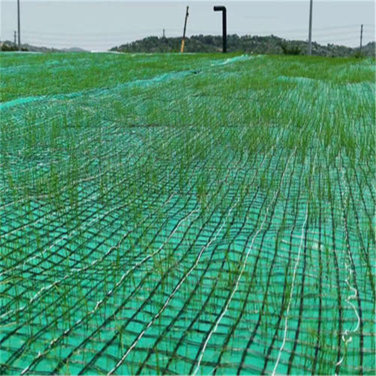 漳州护坡生态毯施工
