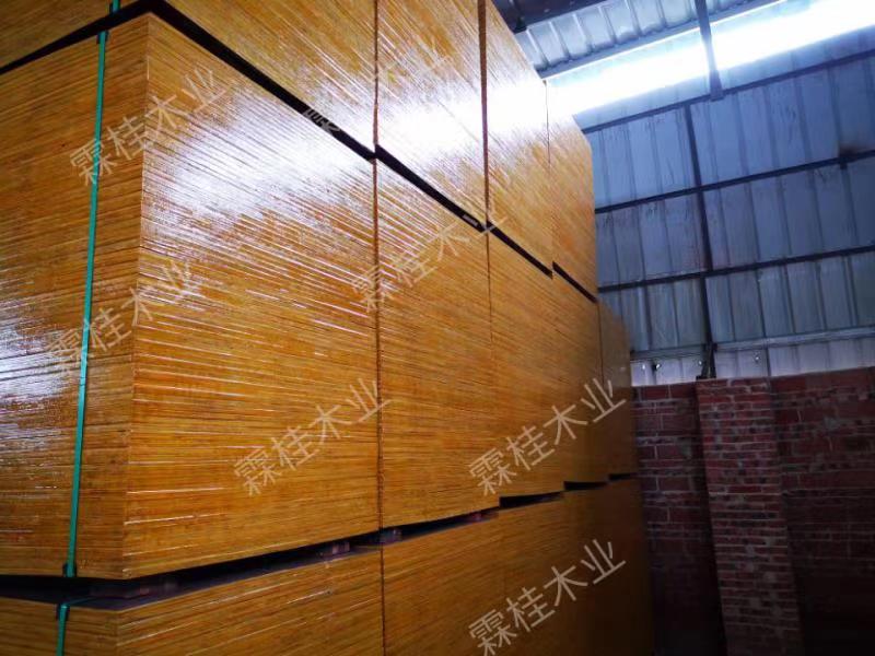 广西桉木模板 清水模板优质供应商-广西霖桂木业