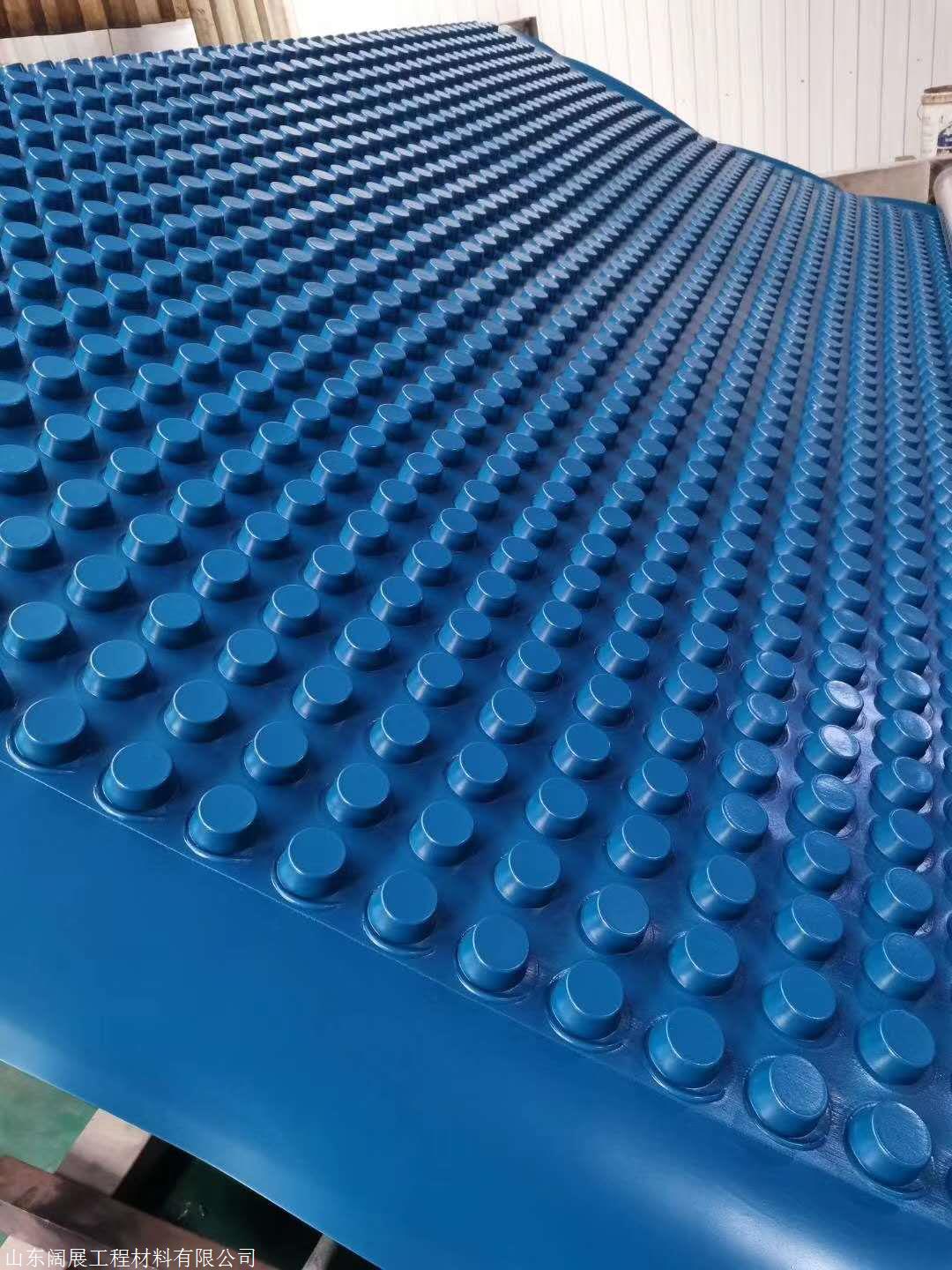 厂家现货凹凸型HDPE塑料排水板 车库排水板隧道排水板可定制