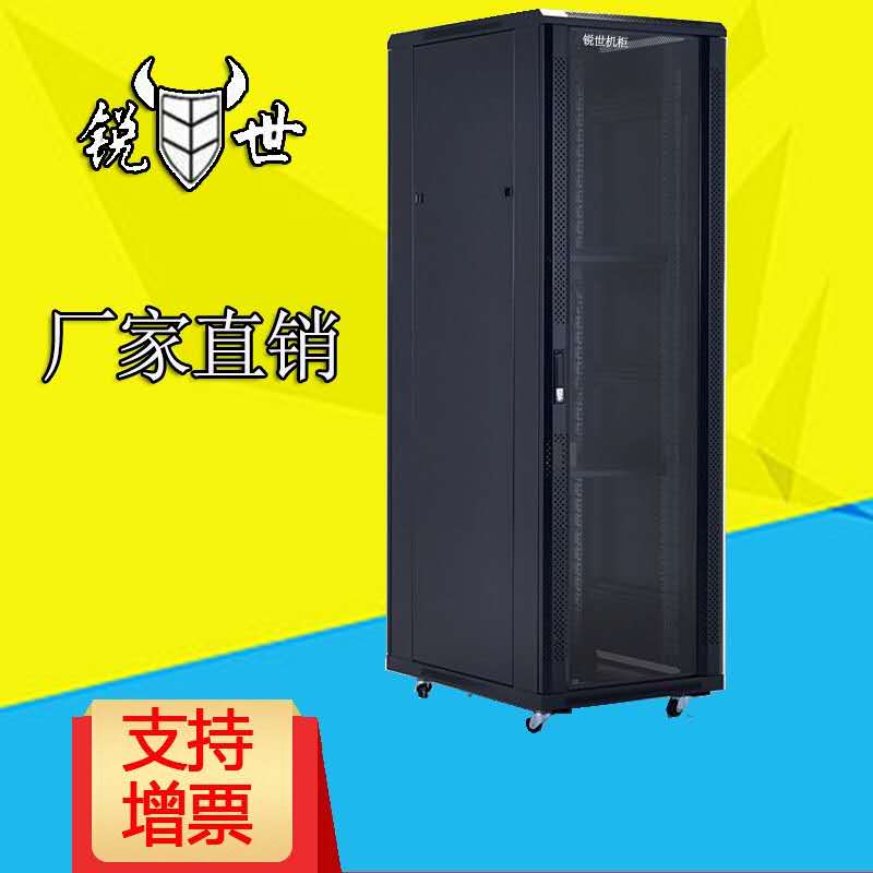 锐世TS-6042网络服务器机柜 标准42U 2米高600*1000