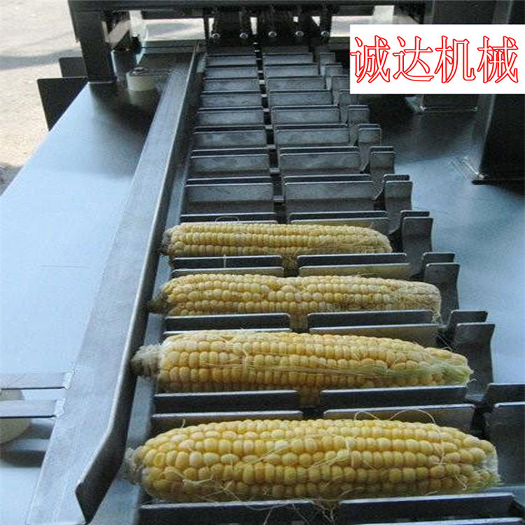福州大型玉米蒸煮设备批发
