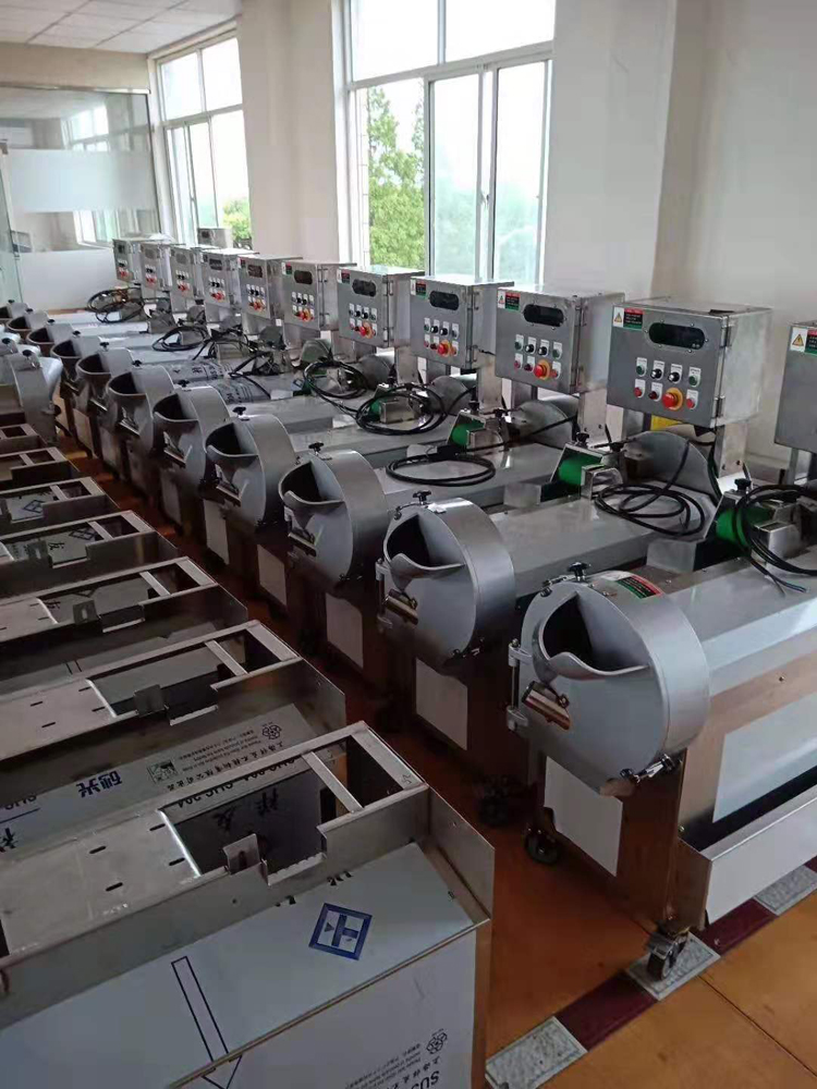 广州全自动蔬菜切丝机批发 切片机 可按需定制
