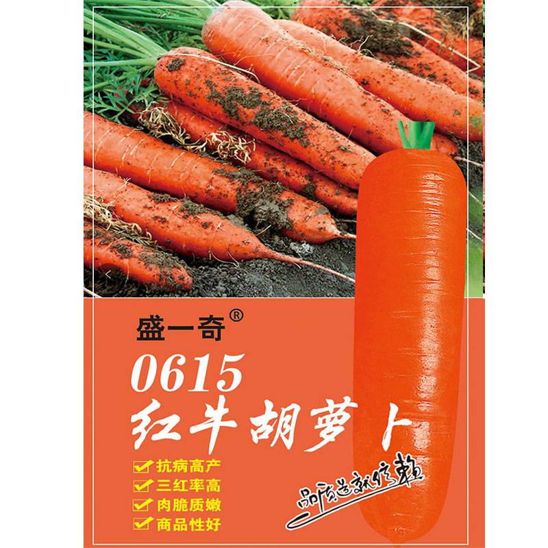 胡萝卜新品种 盛一奇 0615红牛 三红率高 口感好 杂交种子0615红牛胡萝卜种子批发