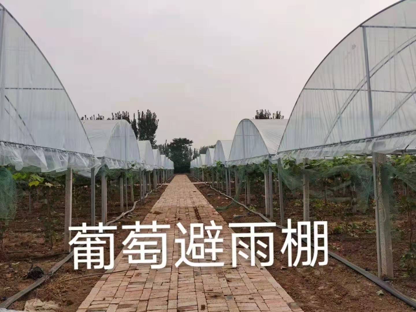 芜湖承接种植棚厂家
