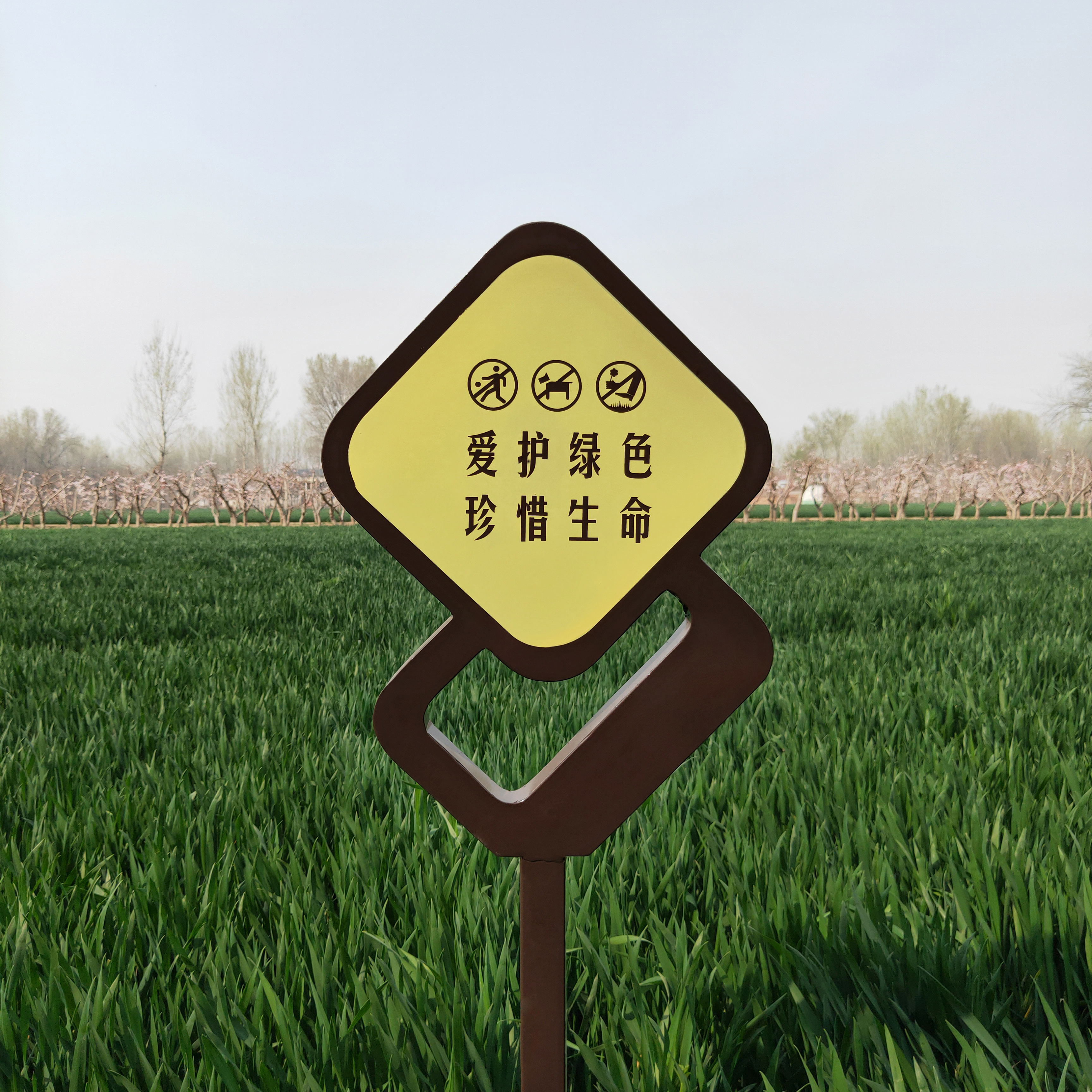 花草牌爱护环境牌危险警示牌植物认领绿化牌