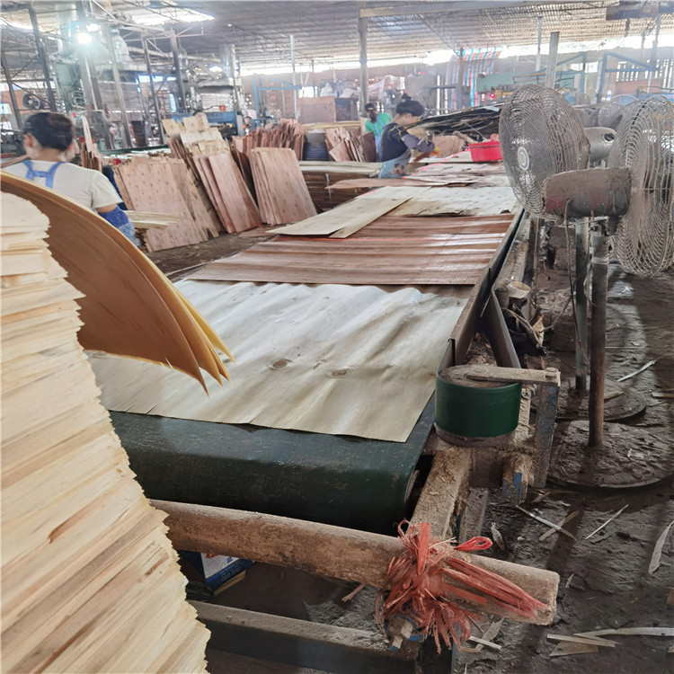 广西建筑模板厂家供应各种规格的多层木模板