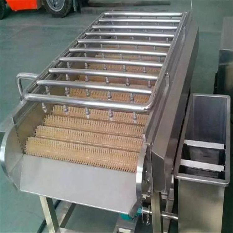 杭州牡蛎清洗机批发 牡蛎清洗机器 可按需定制
