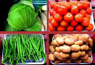 【东莞长安蔬菜配送公司】延缓蔬菜物质转化与消耗，保持贮菜质量
