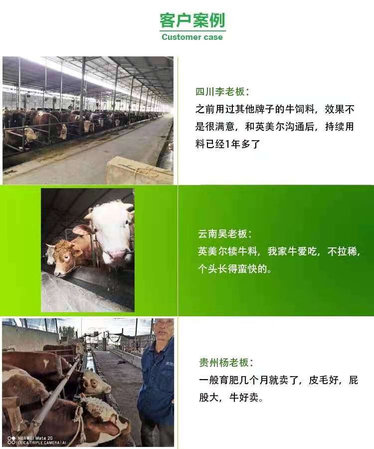 贵州牛饲料分类