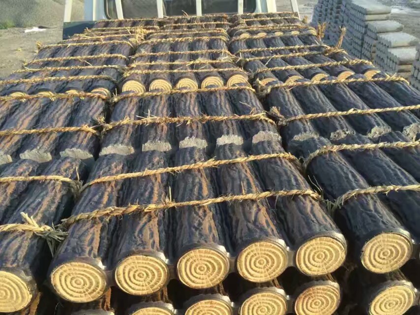 南京水泥树桩石生产厂家 水泥松树桩柱 快速打样