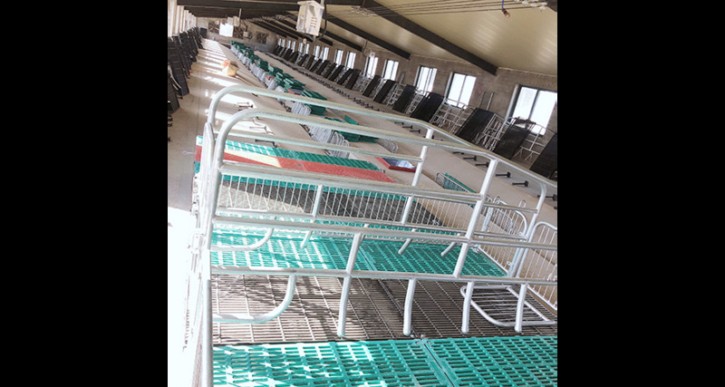 合肥现代化猪场设备公司 铸造辉煌 泊头市华农农牧机械供应