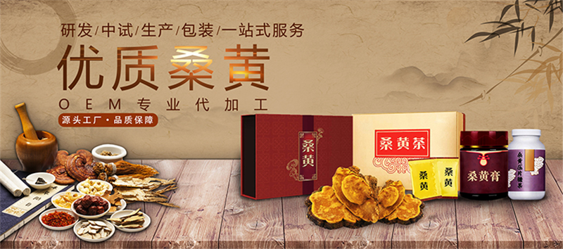 桑黄提取物代加工桑黄产品oem生产厂家