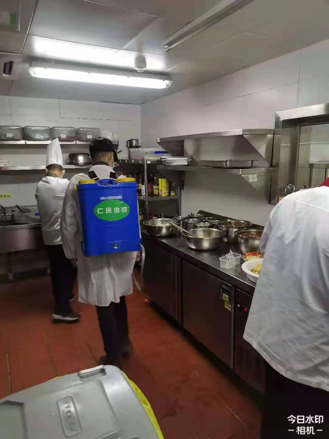 德陽飯店消殺害蟲服務(wù) 害蟲防治 上門服務(wù)